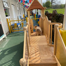 Dog on wooden play area